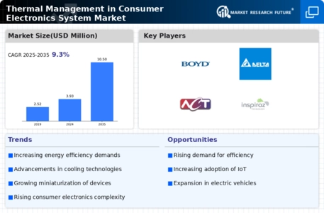 Thermal Management in Consumer Electronics System Market Infographic