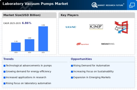 Laboratory Vacuum Pumps Market Infographic