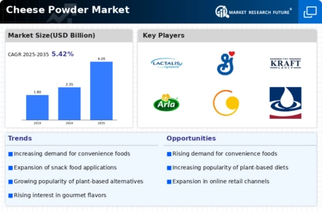 Cheese Powder Market Infographic