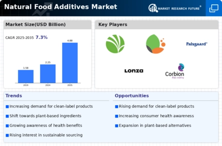 Natural Food Additives Market Infographic