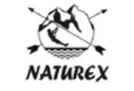 Carotenoids Market key player