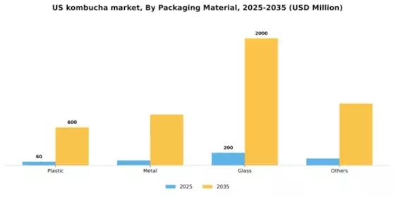 US Kombucha Market Segment Image 1