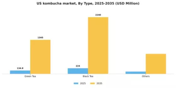 US Kombucha Market Segment Image 2