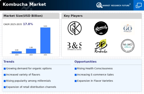 US Kombucha Market Infographic
