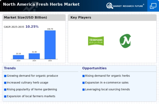 North America Fresh Herbs Market Infographic