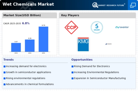 Wet Chemicals Market Infographic