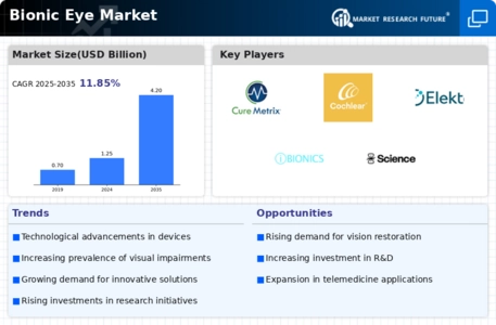 Bionic Eye Market Infographic
