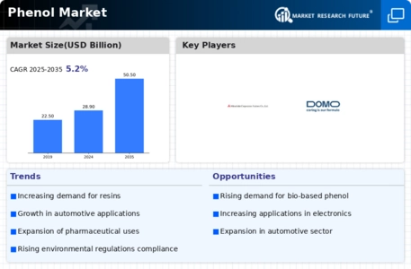 Phenol Market Infographic