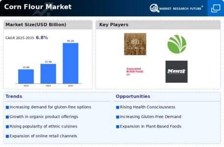 Corn Flour Market Infographic