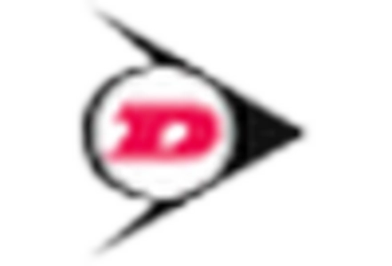 Rubber Market key player