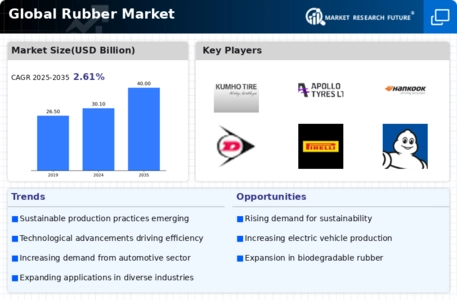 Rubber Market Infographic