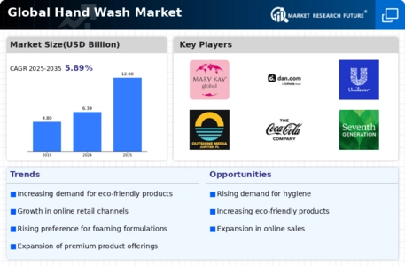 Hand Wash Market Infographic