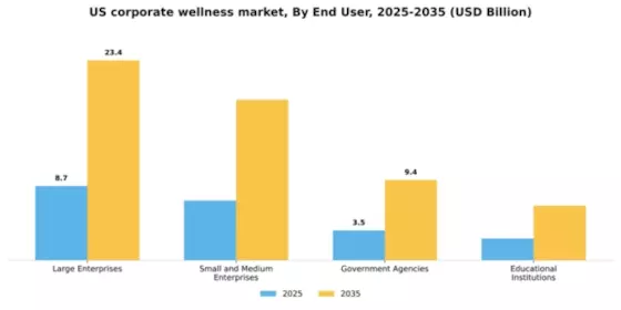 US Corporate Wellness Market Segment Image 1