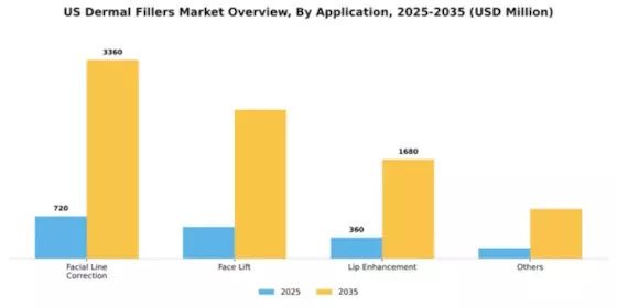 US Dermal Fillers Market Segment Image 0