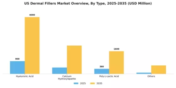 US Dermal Fillers Market Segment Image 2