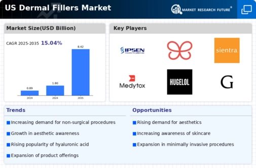 US Dermal Fillers Market Infographic