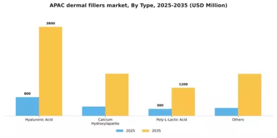 Asia Pacific Dermal Fillers Market Segment Image 2