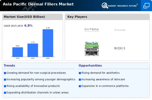 Asia Pacific Dermal Fillers Market Infographic