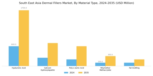 South East Asia Dermal Fillers Market Segment Image 1