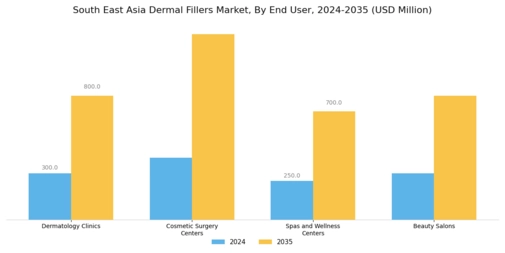 South East Asia Dermal Fillers Market Segment Image 2