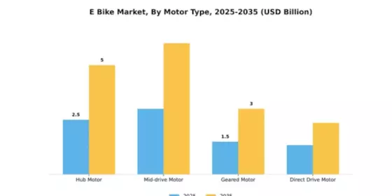 Southeast Asia Electric Bike Market Segment Image 3