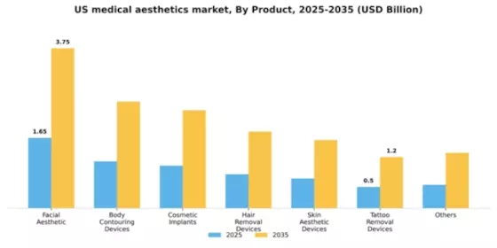 US Medical Aesthetics Market Segment Image 1