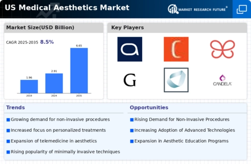 US Medical Aesthetics Market Infographic