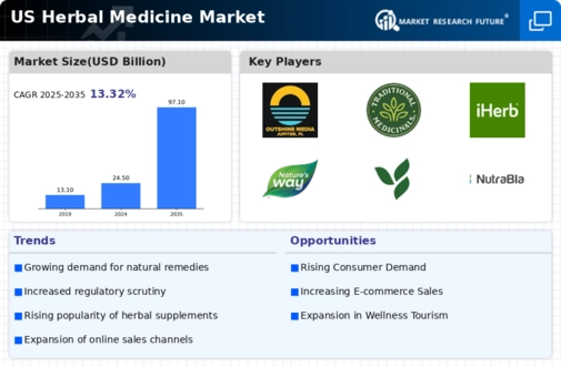 US Herbal Medicine Market Infographic