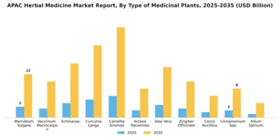 APAC Herbal Medicine Market Segment Image 4