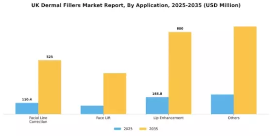UK Dermal Fillers Market Segment Image 0