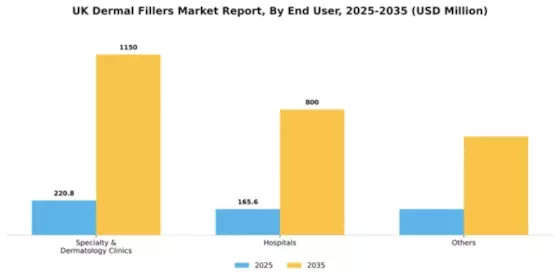 UK Dermal Fillers Market Segment Image 1