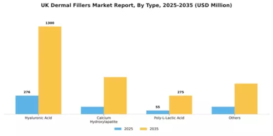 UK Dermal Fillers Market Segment Image 2