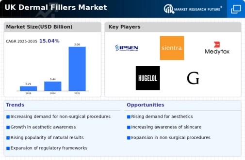 UK Dermal Fillers Market Infographic