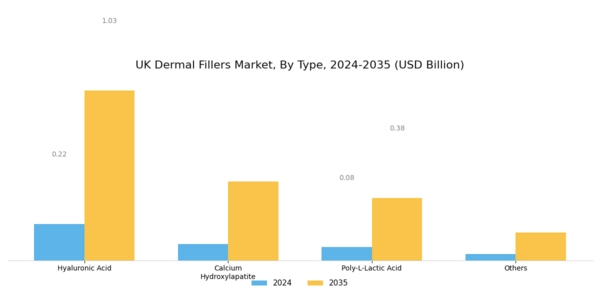 UK Dermal Fillers Market Segment Image 0