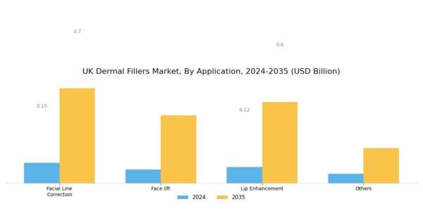 UK Dermal Fillers Market Segment Image 1