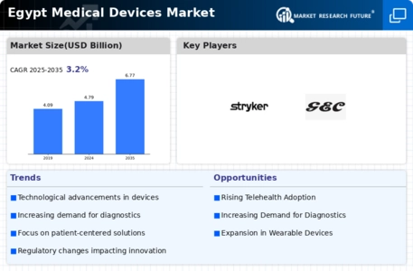 Egypt Medical Device Market Infographic