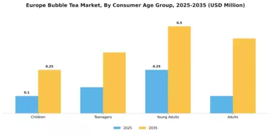 Europe Bubble Tea Market Segment Image 0