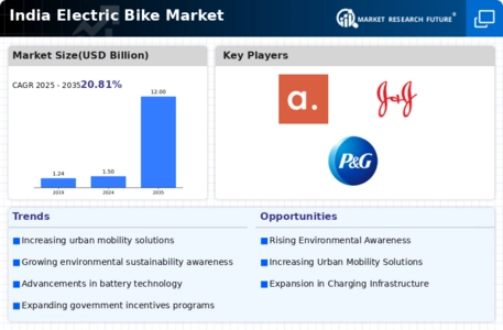 India Electric Bike Market Infographic
