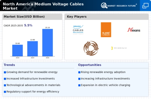 North America Medium Voltage Cables Market Infographic