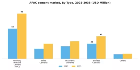 Asia Pacific Cement Market Segment Image 2