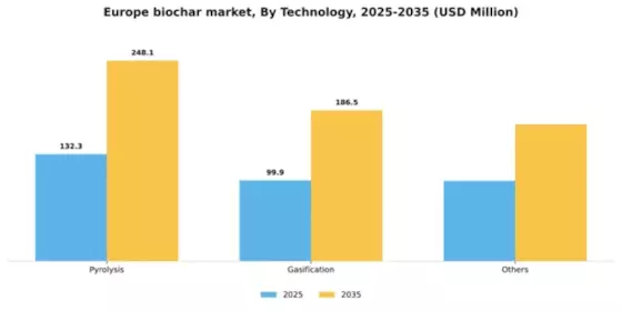 Europe Biochar Market Segment Image 1