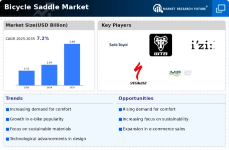 Bicycle Saddle Market Infographic