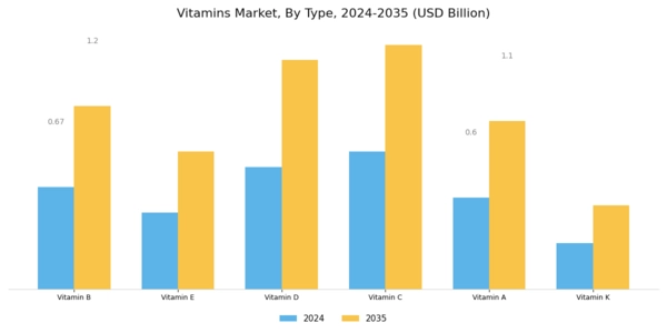 Europe Vitamins Market Segment Image 1
