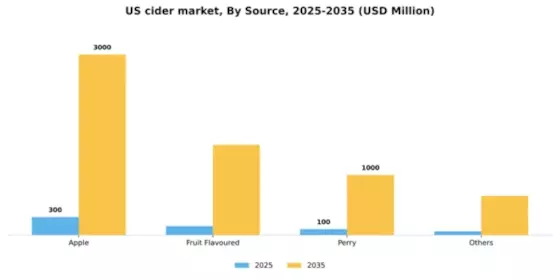 US Cider Market Segment Image 1