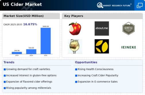 US Cider Market Infographic