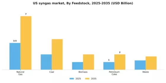 US Syngas Market Segment Image 2