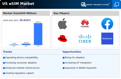 US eSIM Market Infographic