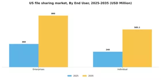 US File Sharing Software Market Segment Image 1