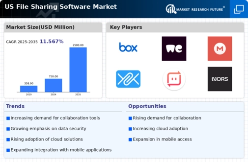 US File Sharing Software Market Infographic