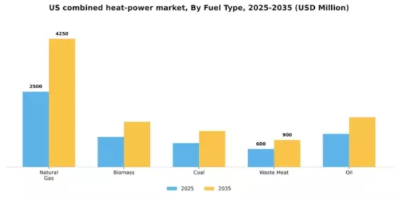 US Combined Heat Power Market Segment Image 2